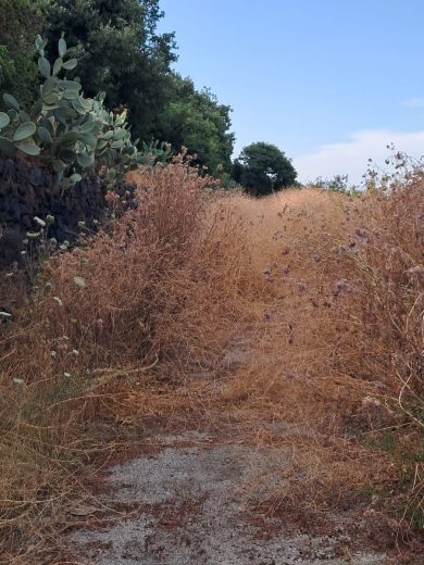 Acigreenway, l’opera mai inaugurata in abbandono: si teme per gli incendi