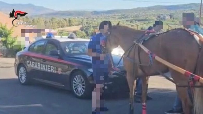 Avevano organizzato una corsa clandestina di cavalli a Nicolosi: i carabinieri bloccano tutto