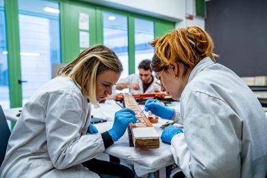 Occupazione insufficiente e retribuzioni al ribasso: il mondo del lavoro continua a respingere le donne