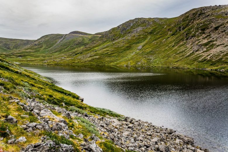 Giornata mondiale dell’Ambiente, eventi e iniziative per tutelare la natura