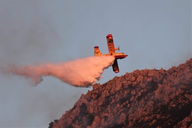 In fiamme pineta costiera a Lecce, evacuati 700 turisti: c’è anche Balotelli