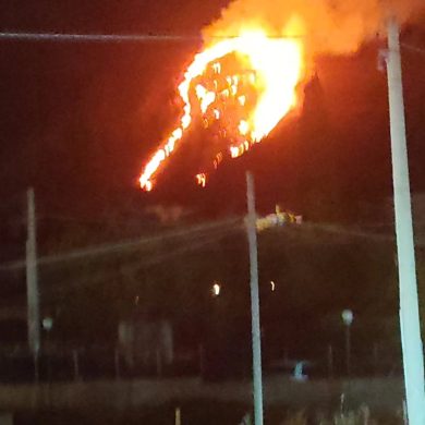 Vasto incendio sulla collina di Altavilla Milicia, vigili del fuoco e forestale in azione