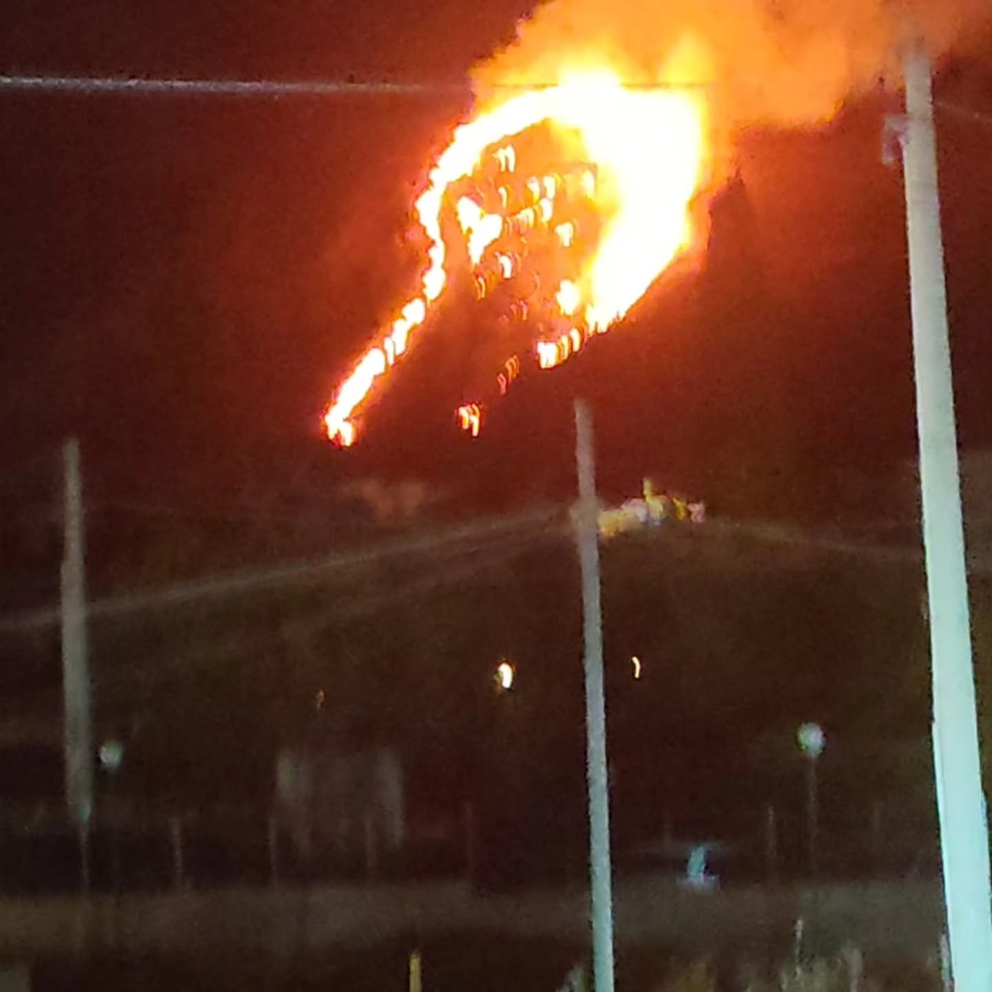 Vasto incendio sulla collina di Altavilla Milicia, vigili del fuoco e forestale in azione