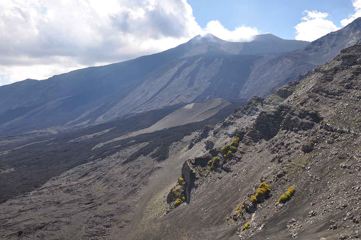 L’Ente Parco dell’Etna punta a superare lo stallo, Giammusso: “Al lavoro su bilancio e personale” L’Ente Parco dell’Etna punta a superare lo stallo, Giammusso: “Al lavoro su bilancio e personale”