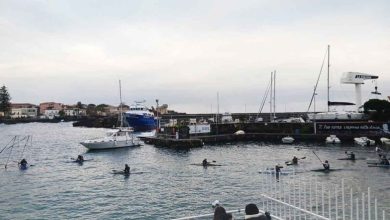 Catania, per il Porticciolo di Ognina sentenza non ancora eseguita. Legambiente in pressing. Tortuga: “La rispetteremo”