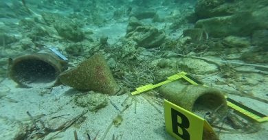 Lampedusa, i fondali restituiscono nuovi e antichi reperti archeologici