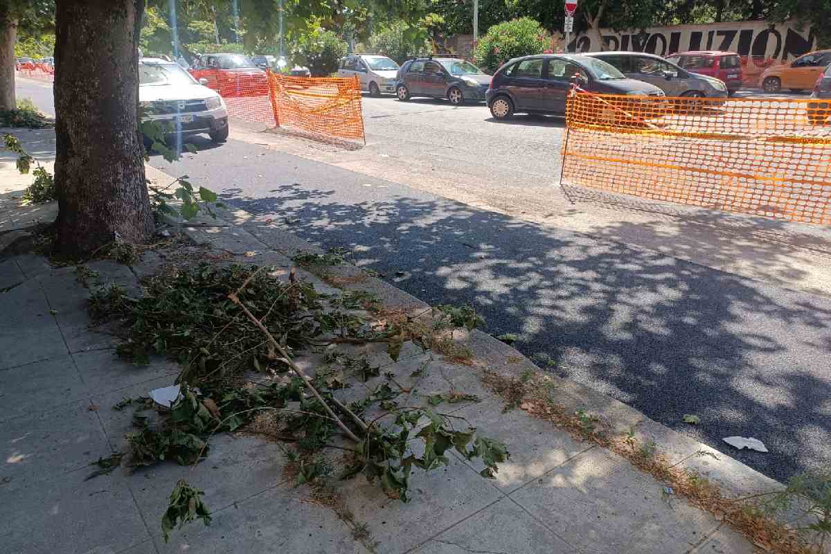 Piste ciclabili a Palermo, la protesta in viale Michelangelo e la petizione: “Qui è inutile e pericolosa”