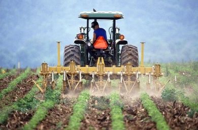 Banca terre agricole, in vendita 8.863 ettari per oltre 121 mln