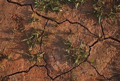 Coldiretti: siccità, 8 agricoltori su 10 investono in tecnologia
