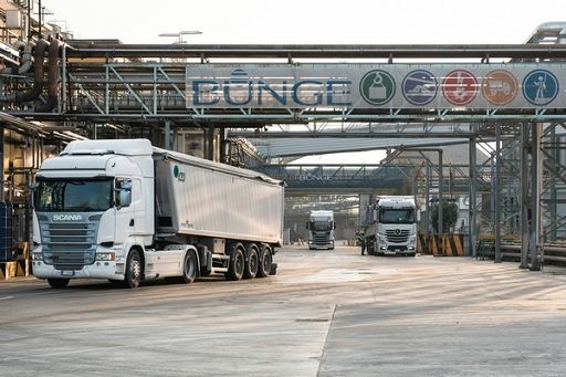 Bunge investe 4,4 mln nel ravennate per raddoppio lavorazione soia
