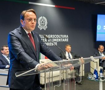 Várhelyi: entro 2026 proposte su galline ovaiole e polli da carne