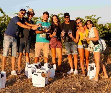 Nasce il gruppo Gen Z delle Donne del Vino e debutta sui social