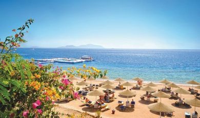 ASTOI: estate 2026, concreti segnali di recupero per il turismo