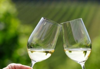 A Vinitaly and the City Sibari focus Ismea su opportunità settore