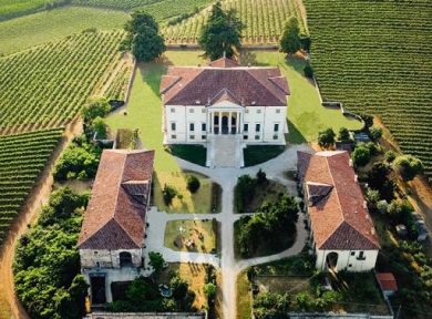 Vino, Cielo e Terra approva il bilancio 2025: ricavi oltre 67 mln