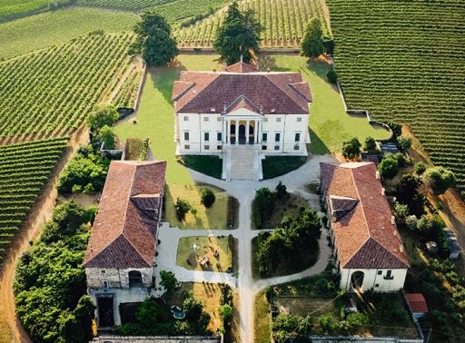 Vino, Cielo e Terra approva il bilancio 2025: ricavi oltre 67 mln