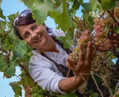Il 18 luglio Fattoria La Maliosa inaugura nuova cantina a Saturnia