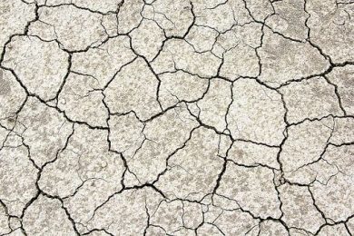 Coldiretti: campagne in ginocchio per caldo estremo e siccità