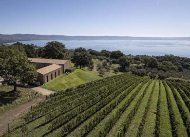 Vino, Villa Caviciana rilancia il Grechetto Rosso con “Tueri”
