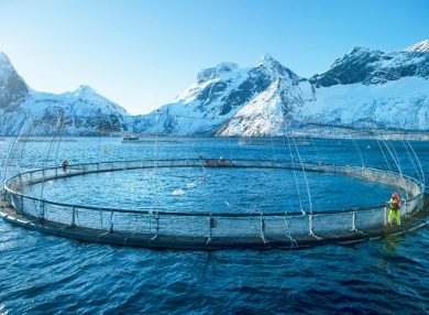 In Norvegia acquacoltura cambia modello: terra, offshore, sistemi chiusi