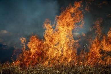 Coldiretti: a fuoco 9mila ettari in un mese pesano caldo e siccità