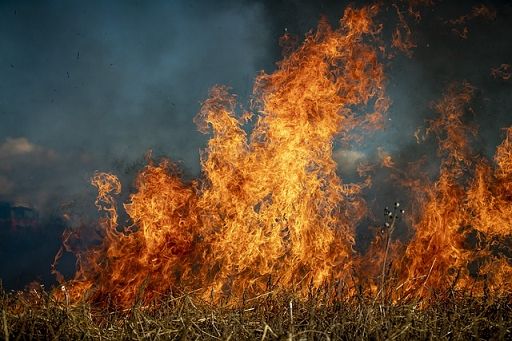 Coldiretti: a fuoco 9mila ettari in un mese pesano caldo e siccità