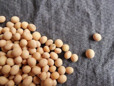 Lollobrigida: piano proteine per essere meno dipendenti da estero