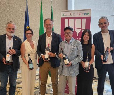 ”Morbegno in Cantina 2026″: tre weekend da 25 settembre a 11 ottobre