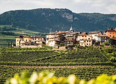 Il Trentodoc chiude 2025 con fatturato a 180 mln e 12,2 mln di bottiglie