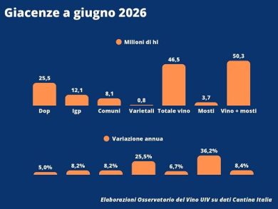 Vino, Uiv: giacenze in cantina equivalenti a 6,2 mld di bottiglie