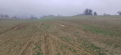 Coldiretti: vigneti, ortofrutta e cereali colpiti da maltempo