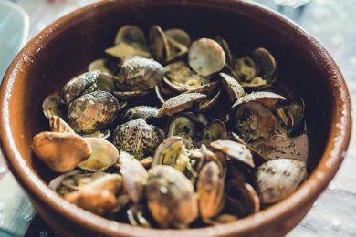 Agci Agroittico chiede stato calamità comparto molluschi bivalvi