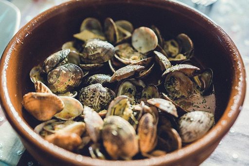 Agci Agroittico chiede stato calamità comparto molluschi bivalvi