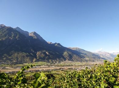 ”DegustaVigna” torna dal 24 luglio nei vigneti di Grosjean a Quart