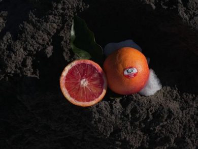 Arancia rossa Igp, campagna si chiude con 24 mln kg in commercio