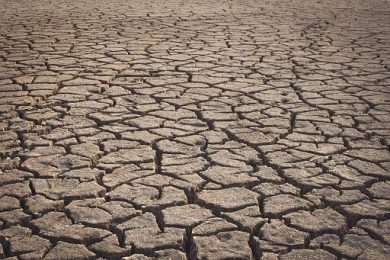 Coldiretti: per clima estremo danni da centinaia di milioni