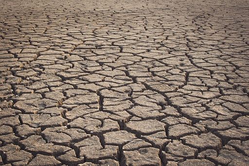 Coldiretti: per clima estremo danni da centinaia di milioni