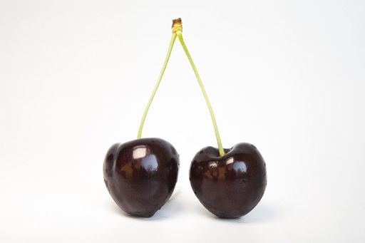 Ciliegia di Vignola Igp, produzione in aumento del 25% Ciliegia di Vignola Igp, produzione in aumento del 25%