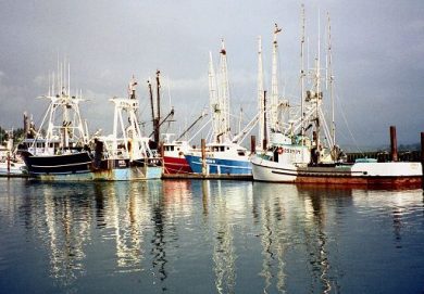 Pesca, La Pietra: ok ogni richiesta credito imposta per gasolio