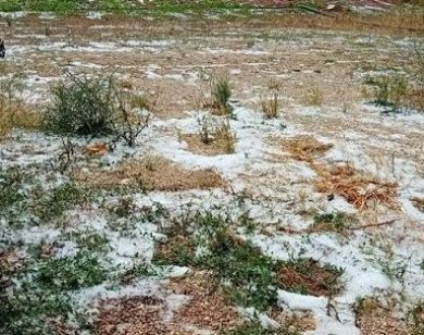 Coldiretti: grandine e vento devastano i campi del Centro-Nord