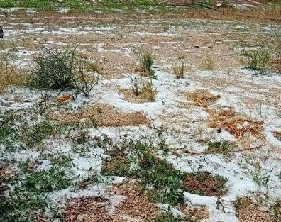 Coldiretti: grandine e vento devastano i campi del Centro-Nord