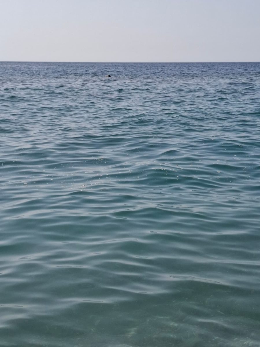 FOTO | Mare sporco e schiuma a Sant’Alessio Siculo: è di nuovo allarme inquinamento sulla costa FOTO | Mare sporco e schiuma a Sant’Alessio Siculo: è di nuovo allarme inquinamento sulla costa