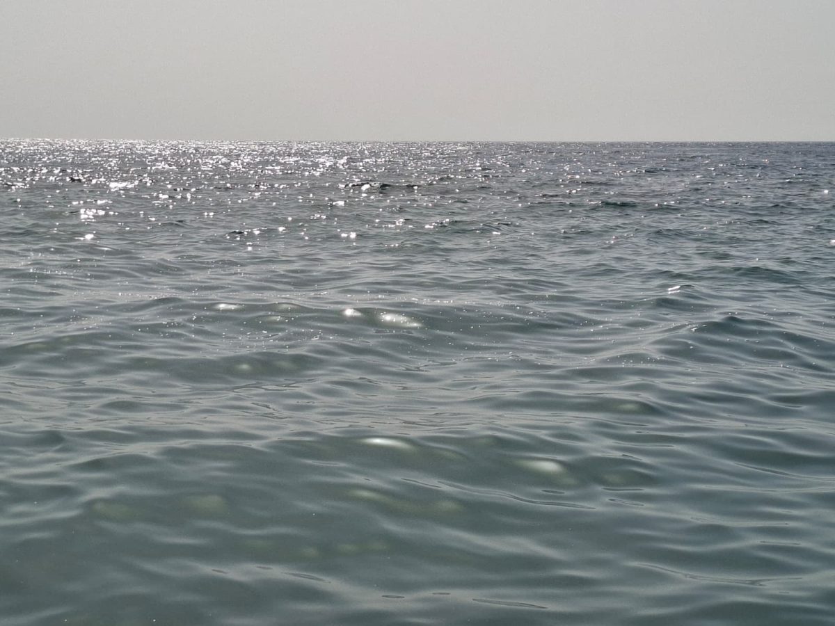 FOTO | Mare sporco e schiuma a Sant’Alessio Siculo: è di nuovo allarme inquinamento sulla costa FOTO | Mare sporco e schiuma a Sant’Alessio Siculo: è di nuovo allarme inquinamento sulla costa