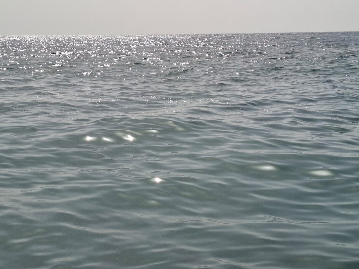 FOTO | Mare sporco e schiuma a Sant’Alessio Siculo: è di nuovo allarme inquinamento sulla costa FOTO | Mare sporco e schiuma a Sant’Alessio Siculo: è di nuovo allarme inquinamento sulla costa