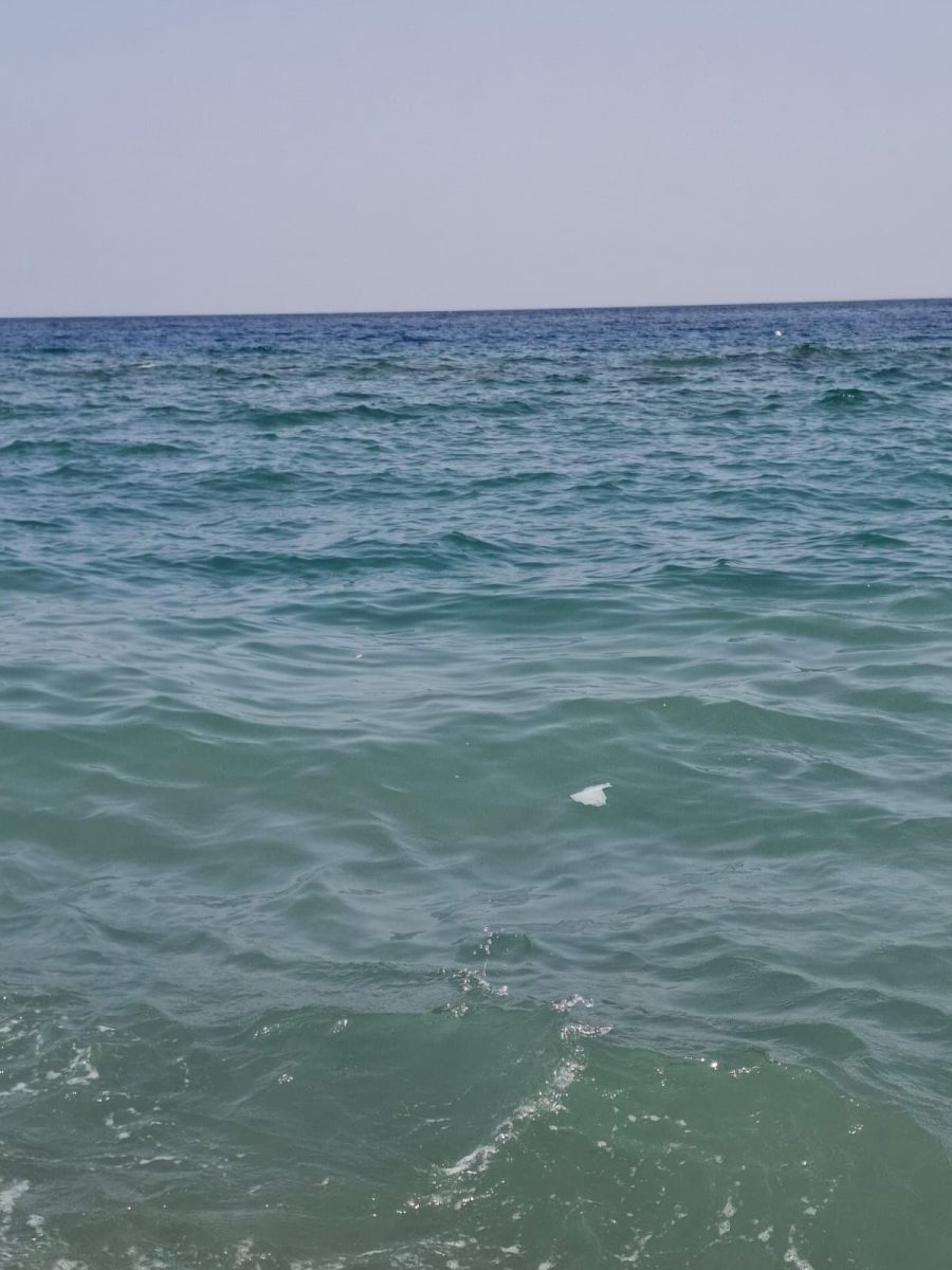 FOTO | Mare sporco e schiuma a Sant’Alessio Siculo: è di nuovo allarme inquinamento sulla costa FOTO | Mare sporco e schiuma a Sant’Alessio Siculo: è di nuovo allarme inquinamento sulla costa