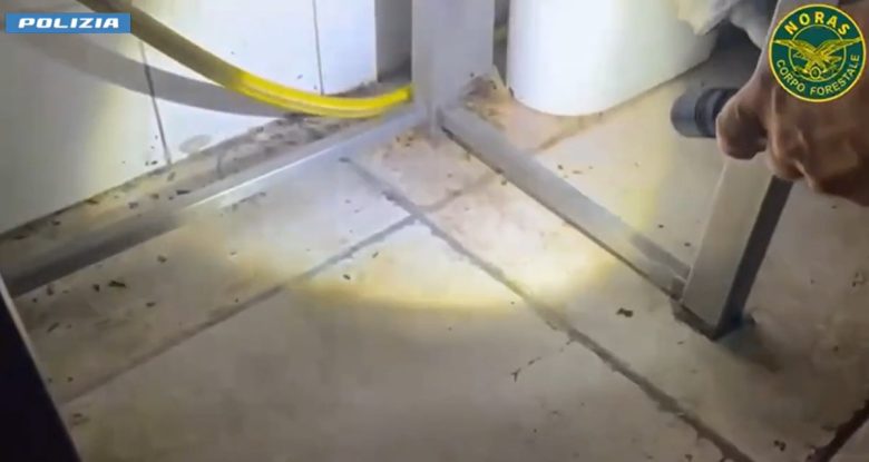 VIDEO | Blatte in cucina e dipendenti in nero al lavoro: sanzioni a due ristoranti del centro storico di Catania