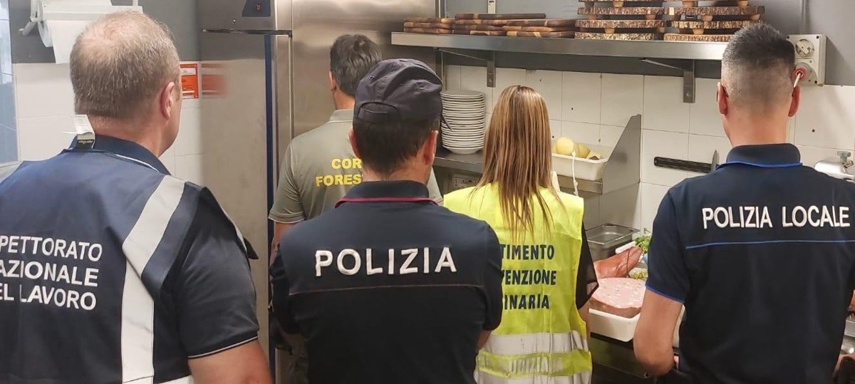 Blatte in giro per la cucina, alimenti scaduti e lavoratori in nero: sanzioni in due ristoranti a Catania