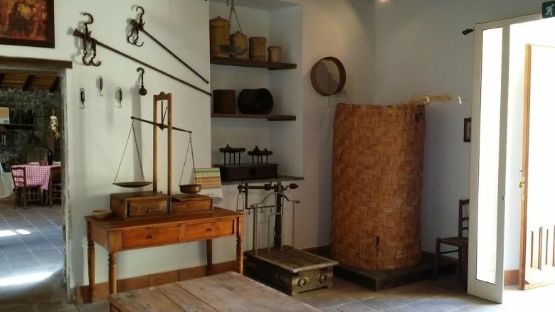 Custodi di storia e di fuoco: alla scoperta dei tesori conservati nei Musei di Nicolosi