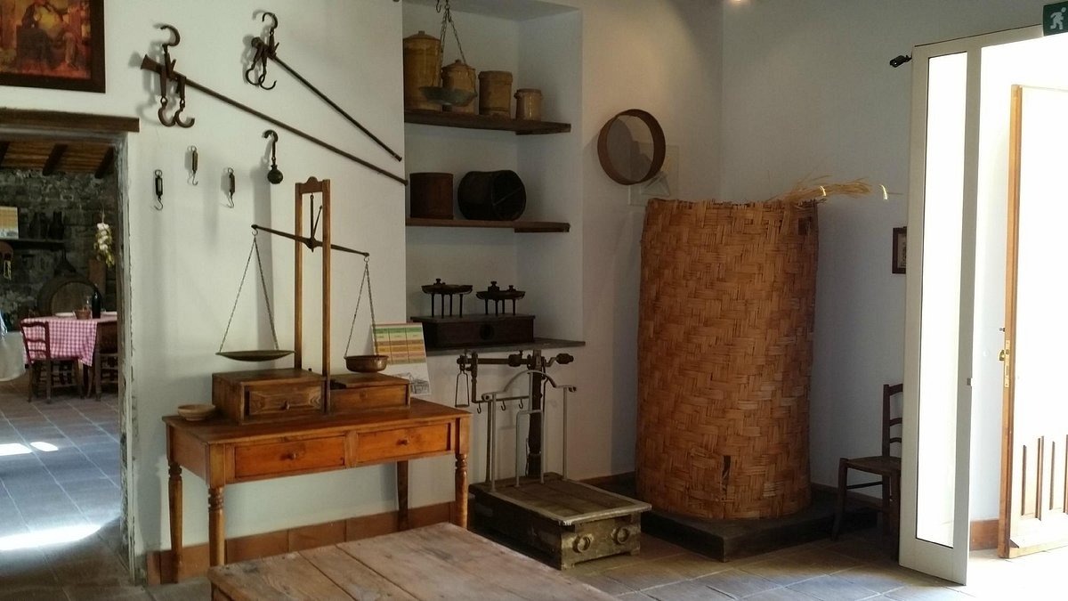 Custodi di storia e di fuoco: alla scoperta dei tesori conservati nei Musei di Nicolosi Custodi di storia e di fuoco: alla scoperta dei tesori conservati nei Musei di Nicolosi