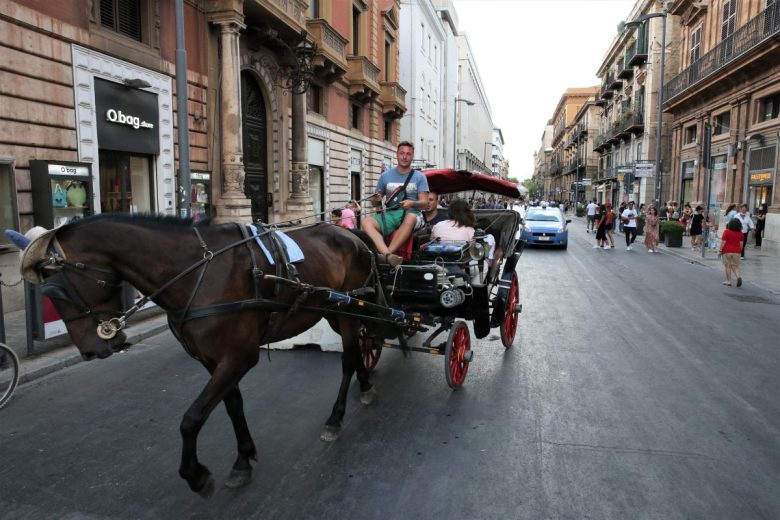 Basta carrozze con cavalli e tutela per tutti gli animali, il Comune di Palermo approva il “Regolamento Animale”